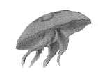 jellyfish.jpg (2868 bytes)